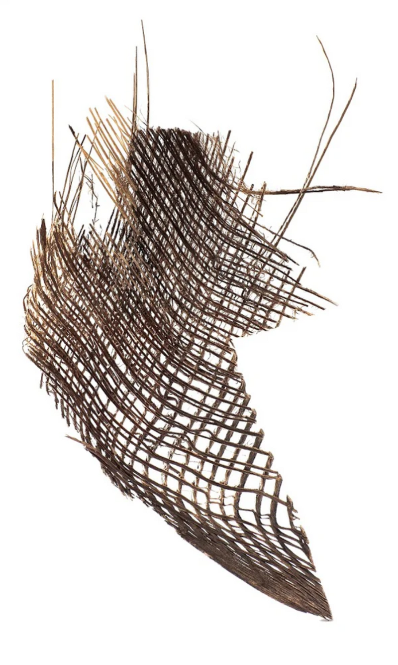 Silver Palm Wing Drop Earrings