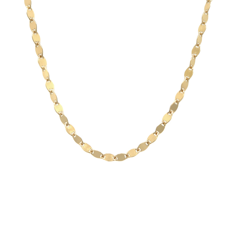 Plate Chain Necklace